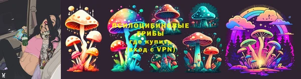 дживик Балахна
