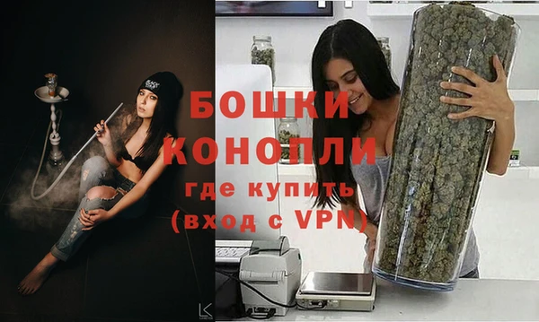 дживик Балахна