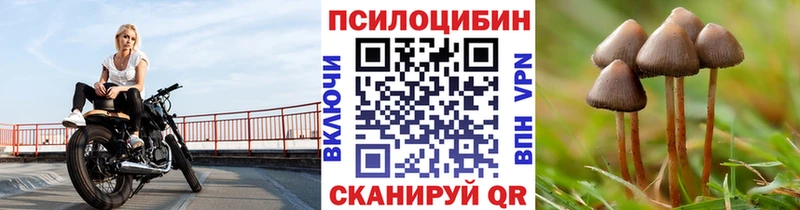 Псилоцибиновые грибы Psilocybe  Серов 